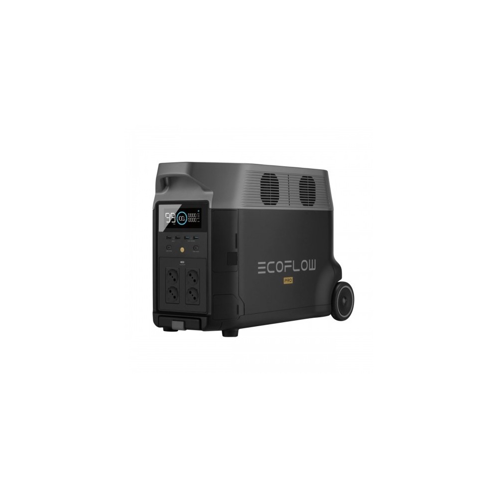 Générateur électrique portable EcoFlow RIVER 2 - 256Wh / 230V 300W / USB - Groupe  électrogène - ECOFLOW